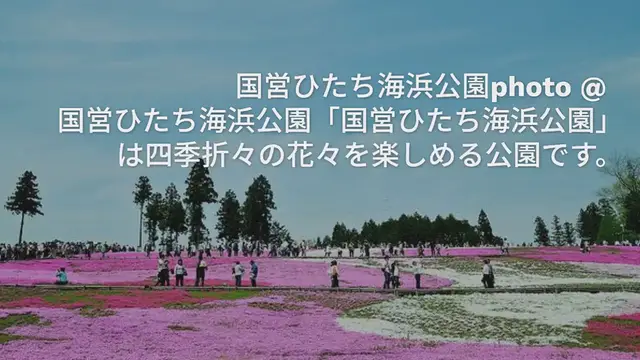 Video thumbnail for 関東から日帰りで♪春のおすすめ旅行スポット15選◎