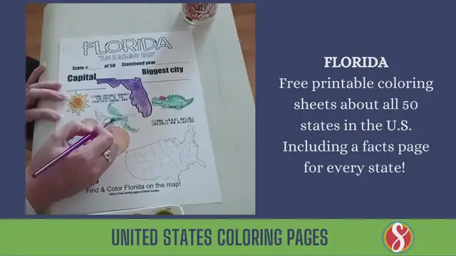 Video thumbnail for Free Florida Facts Activity Page