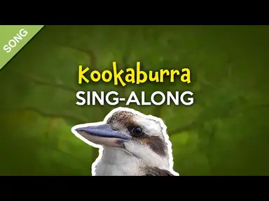 'Video thumbnail for Kookaburra (Sing-Along Video with Lyrics) [SONG]'