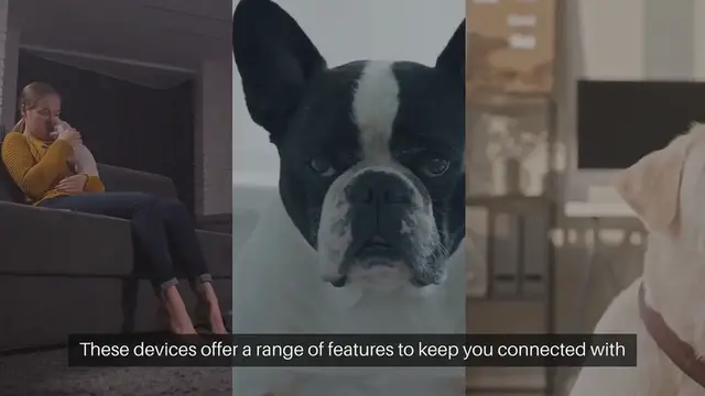 'Video thumbnail for Pet Monitoring Devices'