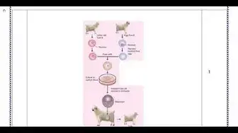 Video thumbnail for 12th Bio-Zoology 2nd MidTerm Answer Keys 2019-20 | Namakkal District | English Medium
