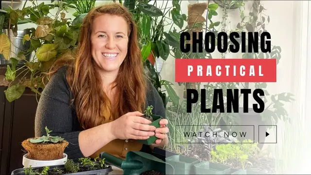 Video thumbnail for Choosing Garden Plants That Will Help Lower Your Grocery Bill. Practical Garden Plants For Canadians