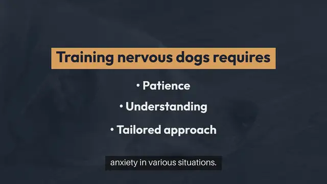 Video thumbnail for Training Nervous Dogs