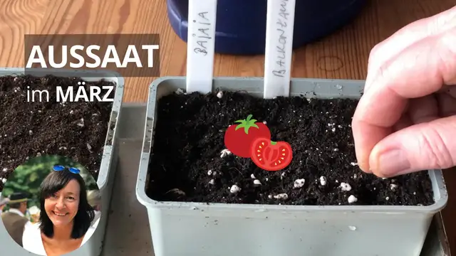 'Video thumbnail for Aussaat im März - diese Kulturen säe + pflanze ich im März + Tipps zur Aussaat'