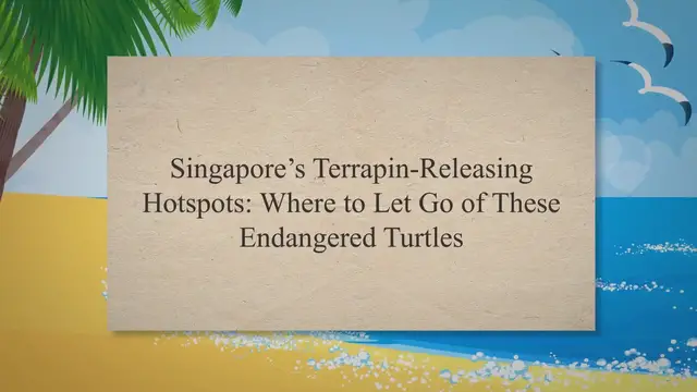 'Video thumbnail for Where to Let Go of These Endangered Turtles – Reptiles & Amphibians'