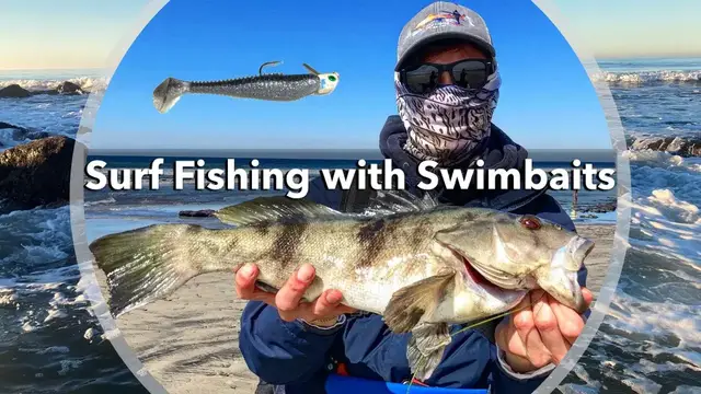 'Video thumbnail for Surf Fishing with Swimbaits'