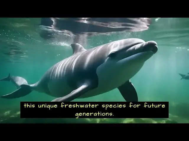 'Video thumbnail for Top 11 Most Endangered Species on the Planet'