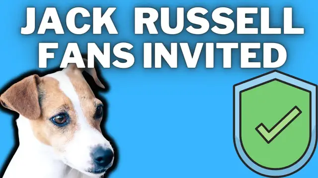 Video thumbnail for The Jack Russell Terrier Fan Area Open:(Luna, Josh and Terrier Owner Have Some Exciting News )