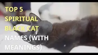 Video thumbnail for Top 5 SPIRITUAL BLACK CAT NAMES WITH MEANING