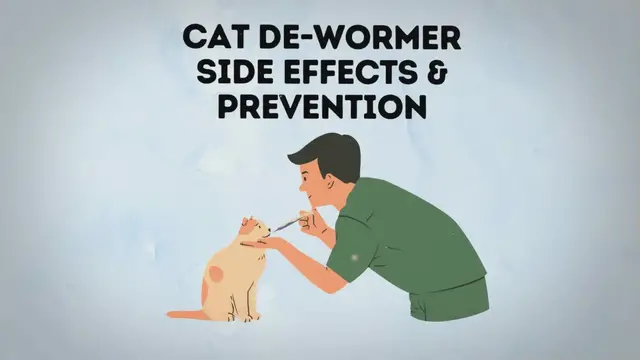 Video thumbnail for 18 Common Cat Dewormer Side Effects And Tips
