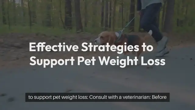 Video thumbnail for Pet Weight Loss Strategies