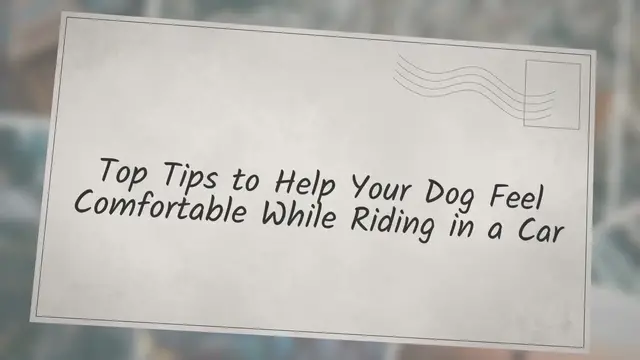 Video thumbnail for Top Tips to Help Your Dog Feel Comfortable While Riding in a Car