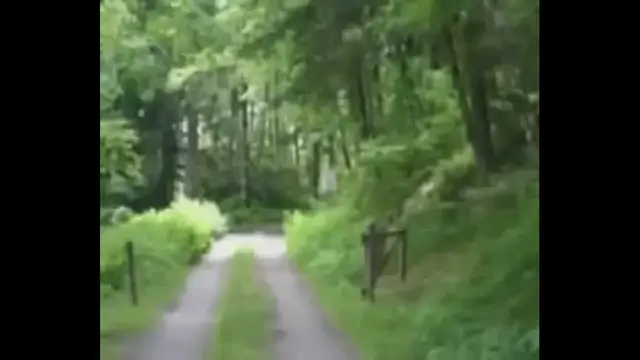 Video thumbnail for Jeep Off Roading At Balsam Mountain - Tennessee / North Carolina