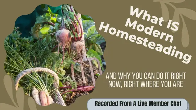 Video thumbnail for What Is Modern Homesteading? Why You Can Start Right Now, Right Where You Are!