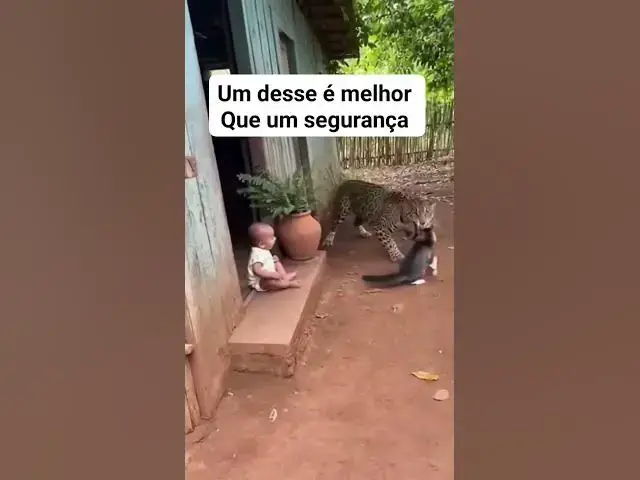 Video thumbnail for 27 de outubro de 2025