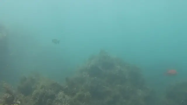 Video thumbnail for Fishing in Florida