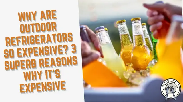 Video thumbnail for Why Are Outdoor Refrigerators So Expensive? 3 Superb Reasons Why It’s Expensive