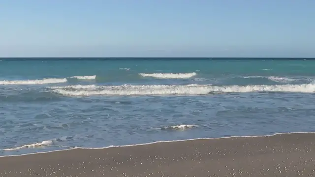 Video thumbnail for Juno Beach Pier Swimming