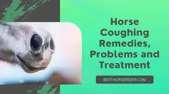 Video thumbnail for Horse Coughing Remedies, Problems and Treatment