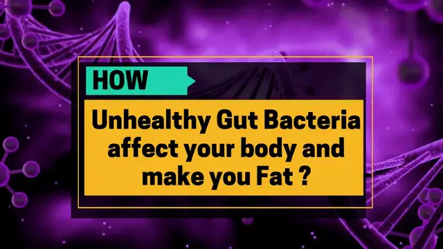 Video thumbnail for How Unhealthy Gut Make You Fat | Unhealthy Gut Cause Weight Gain