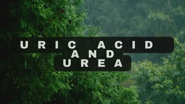 Video thumbnail for Uric Acid and Urea video