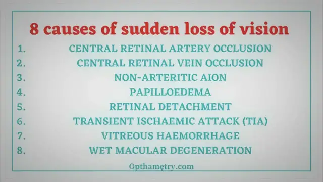 Video thumbnail for 8 causes of sudden loss of vision - Eye Care
