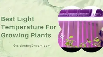 Video thumbnail for Best Light Temperature For Growing Plants