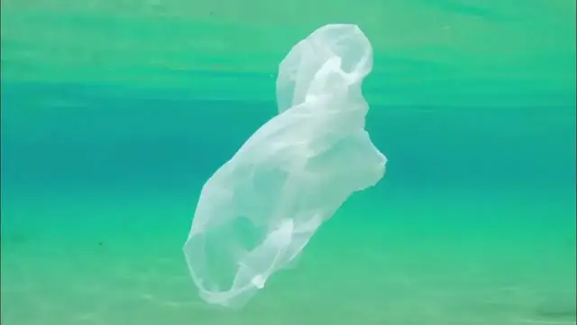 Video thumbnail for Main Causes Of Plastic Pollution