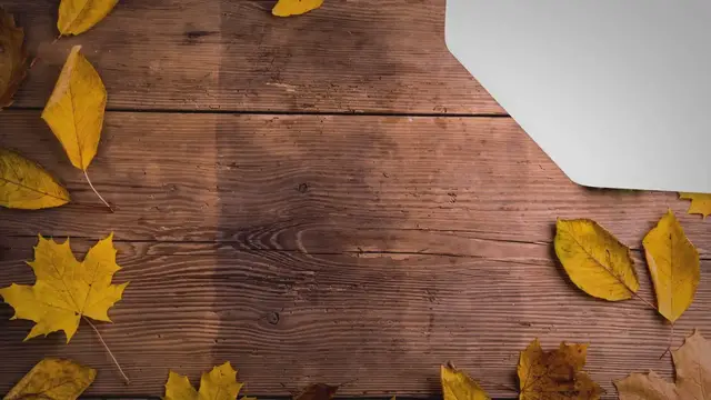 Video thumbnail for Food for Mexico traditional guide 2023