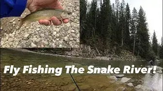 'Video thumbnail for Fly Fishing the Snake River - Wyoming'