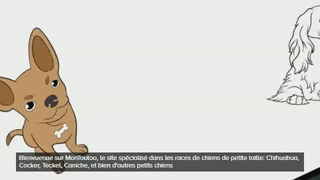 Video thumbnail for MonToutoo