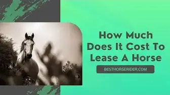 Video thumbnail for How Much Does It Cost To Lease A Horse