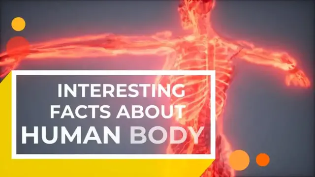 Video thumbnail for Amazing facts About The Human Body