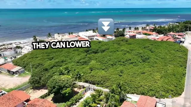 Video thumbnail for The Truth About Tree Nuts Revealed!