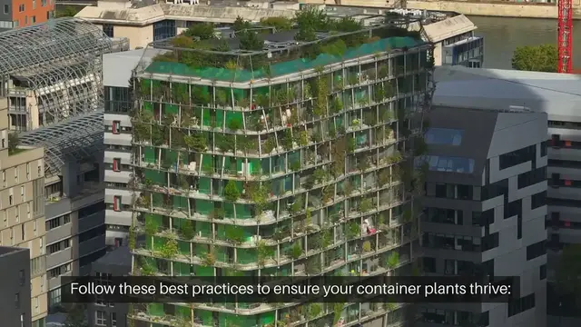 Video thumbnail for Best Practices for Container Planting