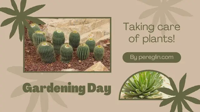 Video thumbnail for Brown Simple Animated Gardening Tips