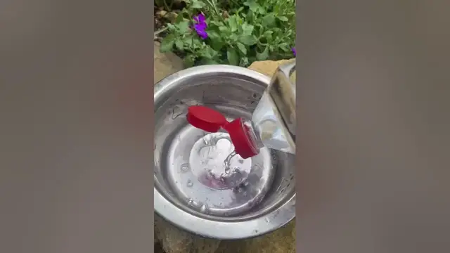 Video thumbnail for #shorts: Fast Way of Removing Limescale from Your Pet's Stainless Steel Bowl
