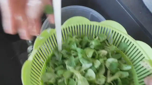 Video thumbnail for Creamy Spinach Lasagna Delight