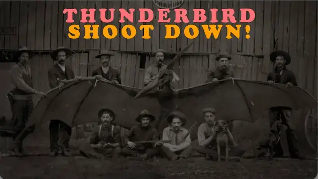 Video thumbnail for In Arizona, 1890, did ranchers shoot down a Thunderbird?