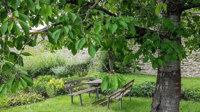 Video thumbnail for Klostergarten Altzella