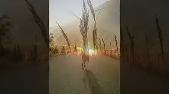 Video thumbnail for 🙏 REFLEXIONES DIARIAS DE LA VIDA: viral #2022 #dios #shorts #diosesbueno #reflexion