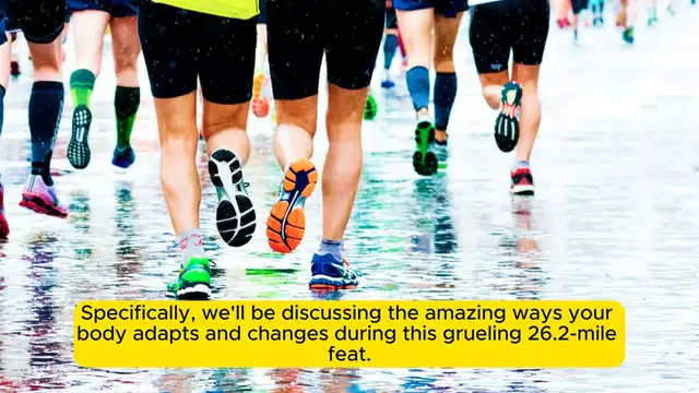 Video thumbnail for _What Happens to Your Body When You Run a Marathon