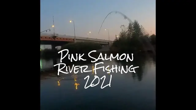 Video thumbnail for Pink Salmon River Fishing 2021