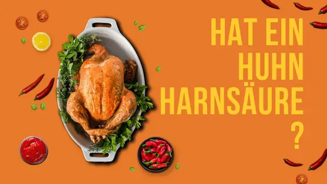 Video thumbnail for Hat ein Huhn Harnsäure?