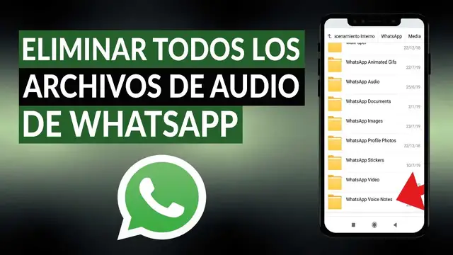 Video thumbnail for Cómo eliminar todos los archivos de audio de WHATSAPP - Guía paso a paso