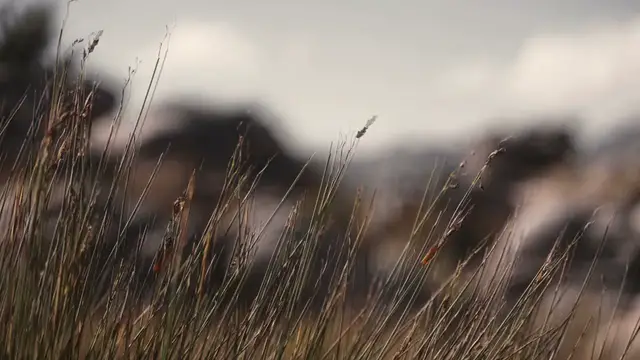 Video thumbnail for Guided Meditation | Reducing Stress Through Deep Breathing