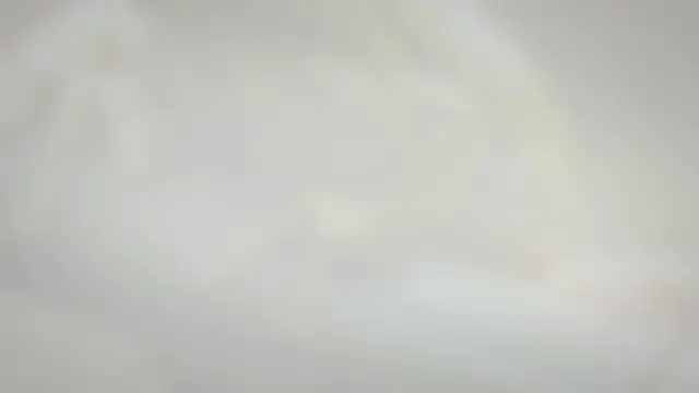 'Video thumbnail for Can You Put a Tree Frog With a Crested Gecko? – Reptiles & Amphibians'