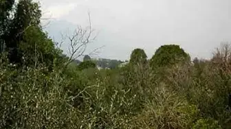 Video thumbnail for Waldo Canyon fire June 27 2012 Another View