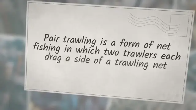 Video thumbnail for How Does Pair Trawling Work? How You’d Expect