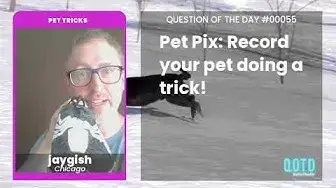 Video thumbnail for jaygish's pet is a Venom-ous talent. Incredibly trained!